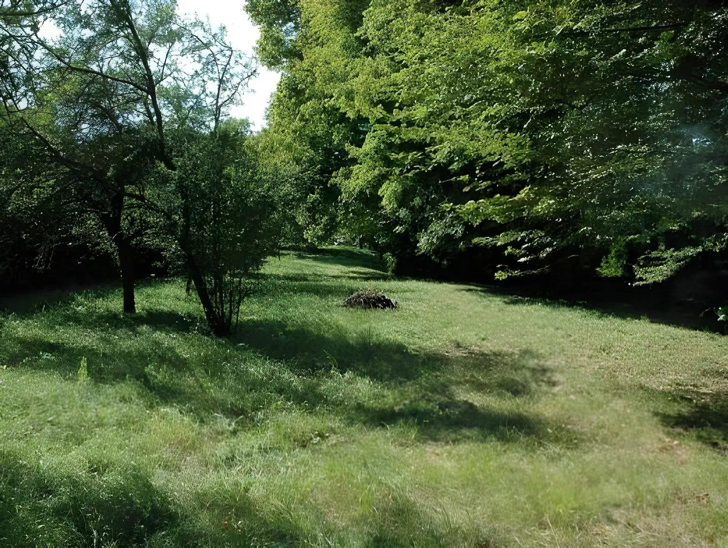 d'Orfeuil LANDSCAPE