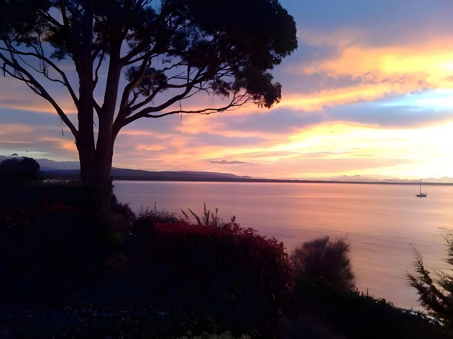 Amos House & Swansea Ocean Villas LANDSCAPE