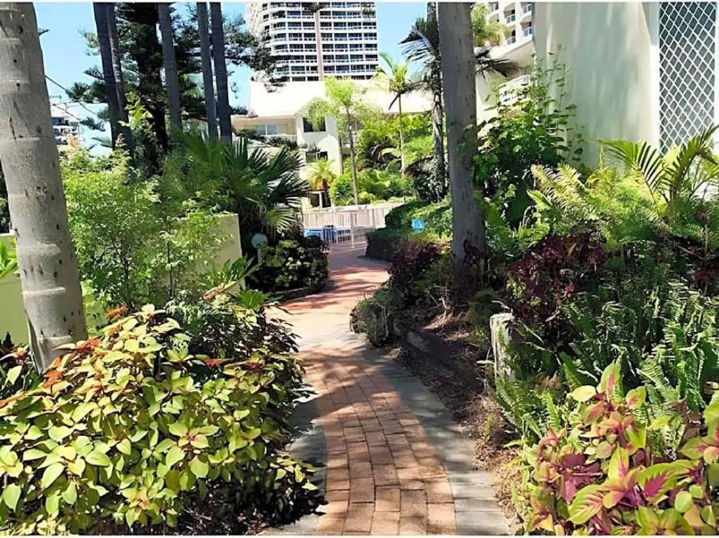 Surfers Tradewinds Garten