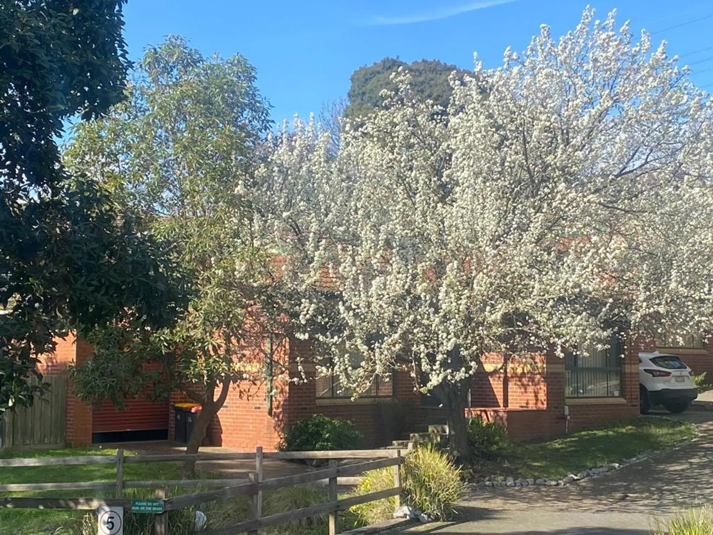 Mount Waverley Townhouses LANDSCAPE