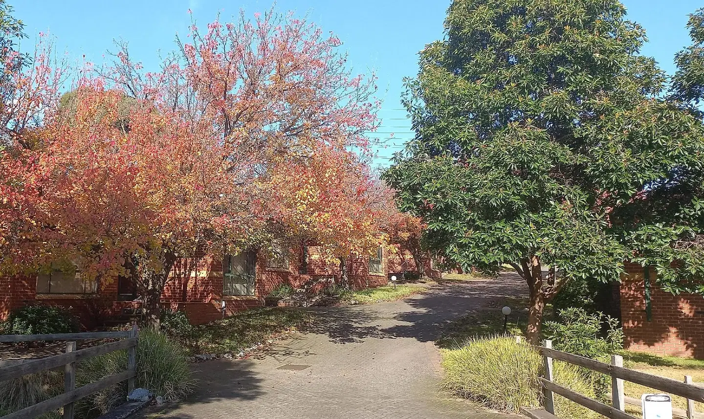 Mount Waverley Townhouses LANDSCAPE