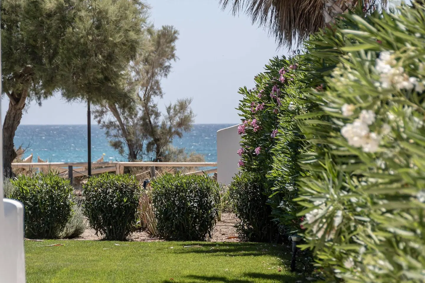 Glaronissi Beach Garten