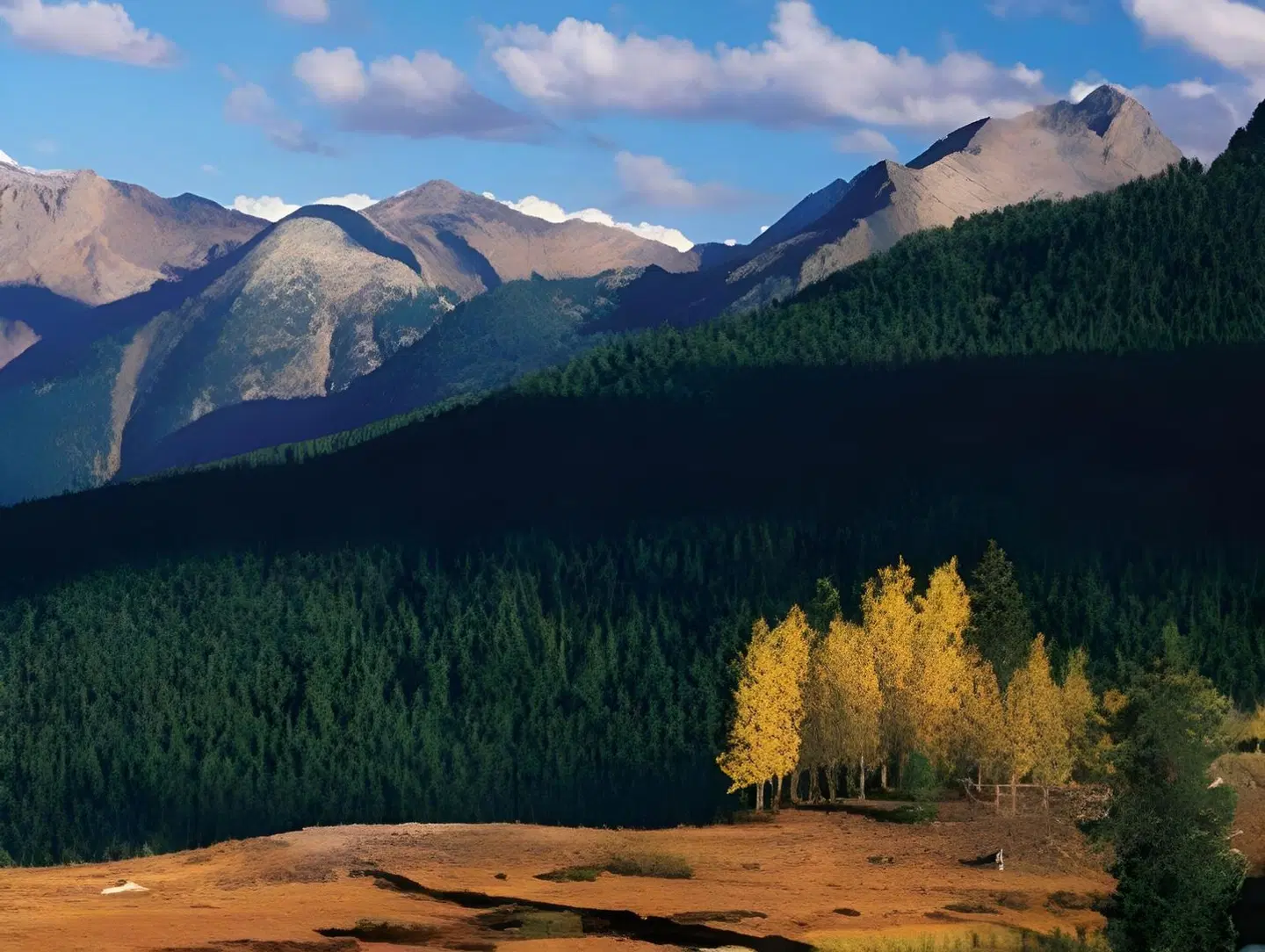 Wyndham Steamboat Springs LANDSCAPE