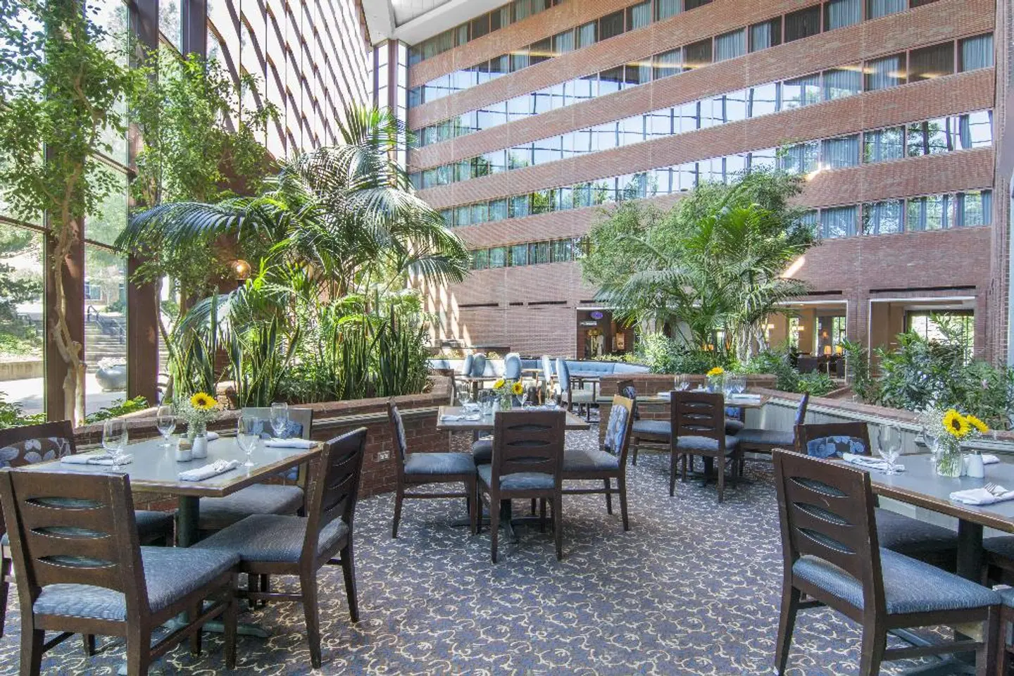 Omni Charlottesville Terrasse