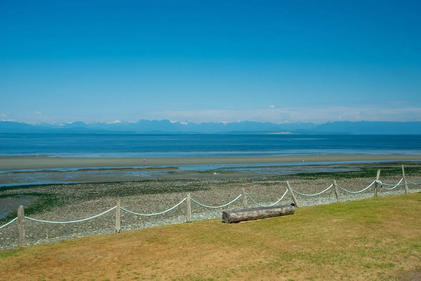 Ocean Resort LANDSCAPE