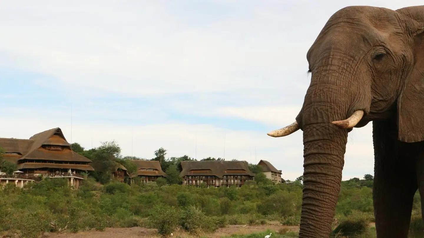 Victoria Falls Safari Suites LANDSCAPE