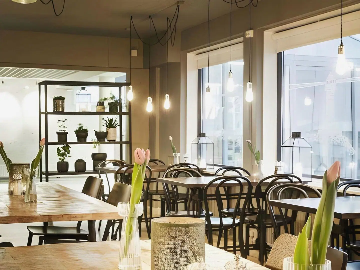Hótel Höfn LOUNGE_LOBBY