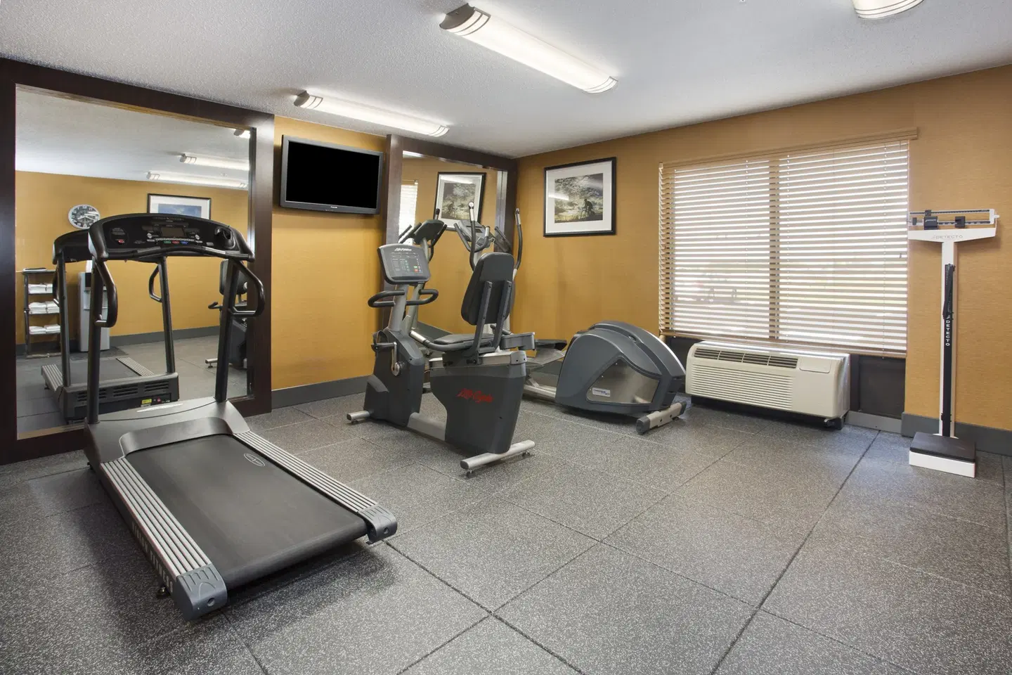 Holiday Inn Express Berea by IHG SPORTS_AND_LEISURE