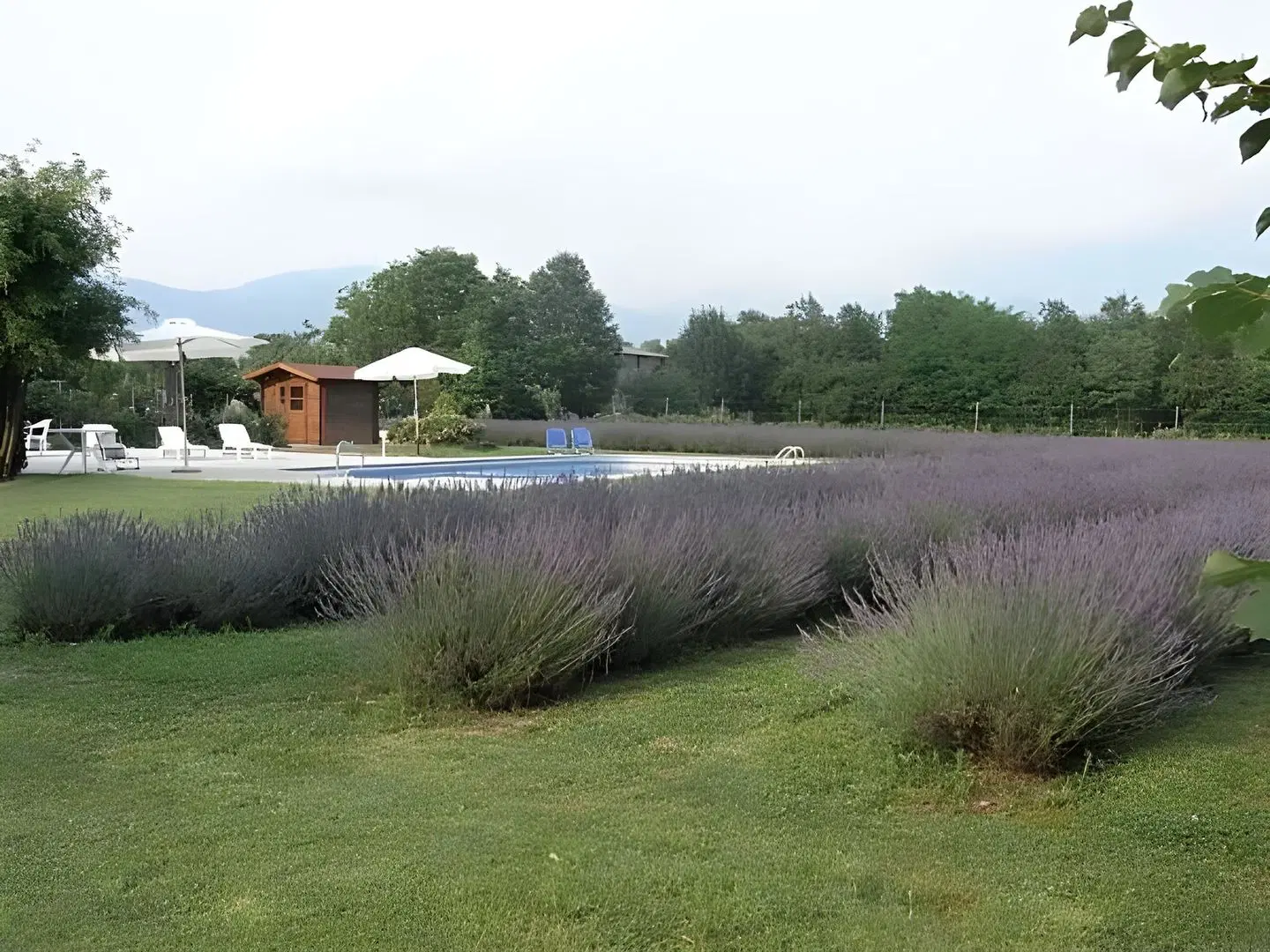 Agriturismo Domus Magna Strand