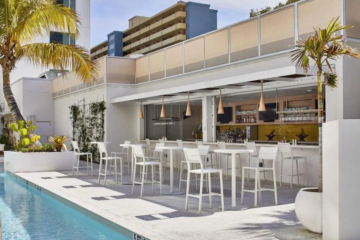 The Sarasota Modern Bar