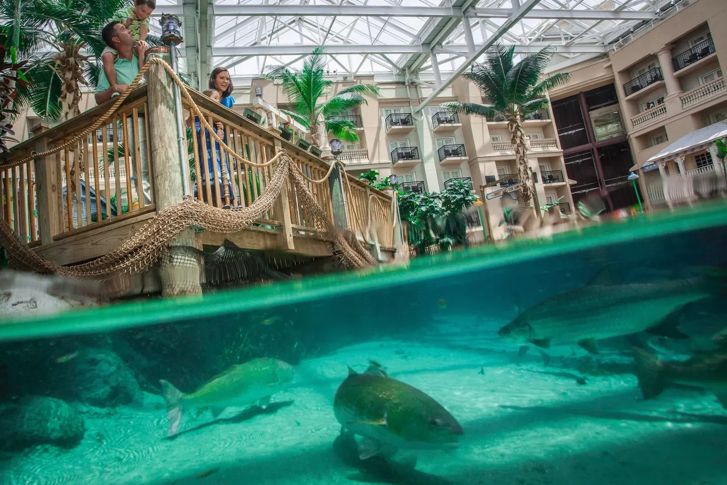 Gaylord Palms Resort & Convention Center Hallenbad