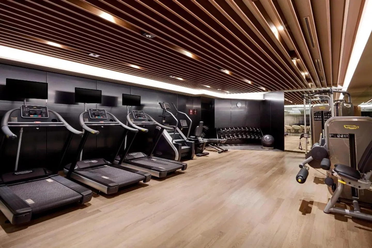 Four Points by Sheraton Seoul, Gangnam SPORTS_AND_LEISURE
