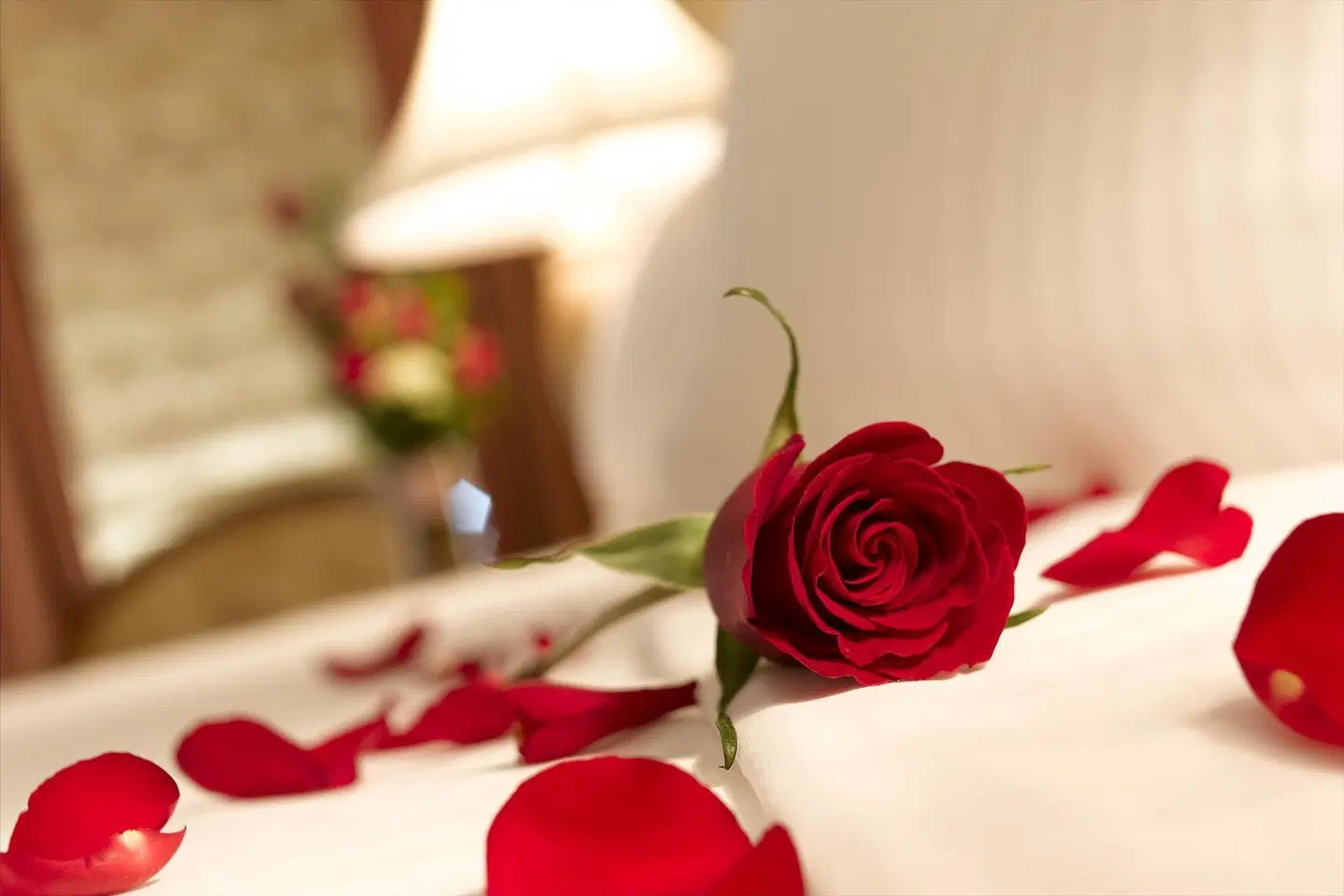 Lavender Old Quarter Hotel HEALTH_BEAUTY