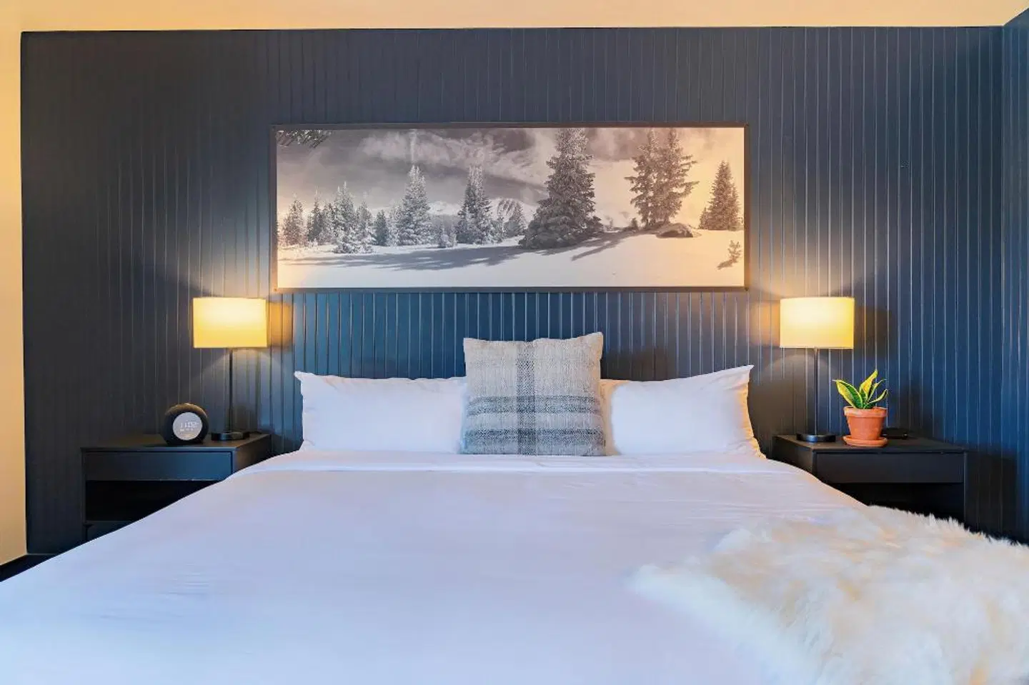 Gravity Haus Winter Park ROOM_EXAMPLE