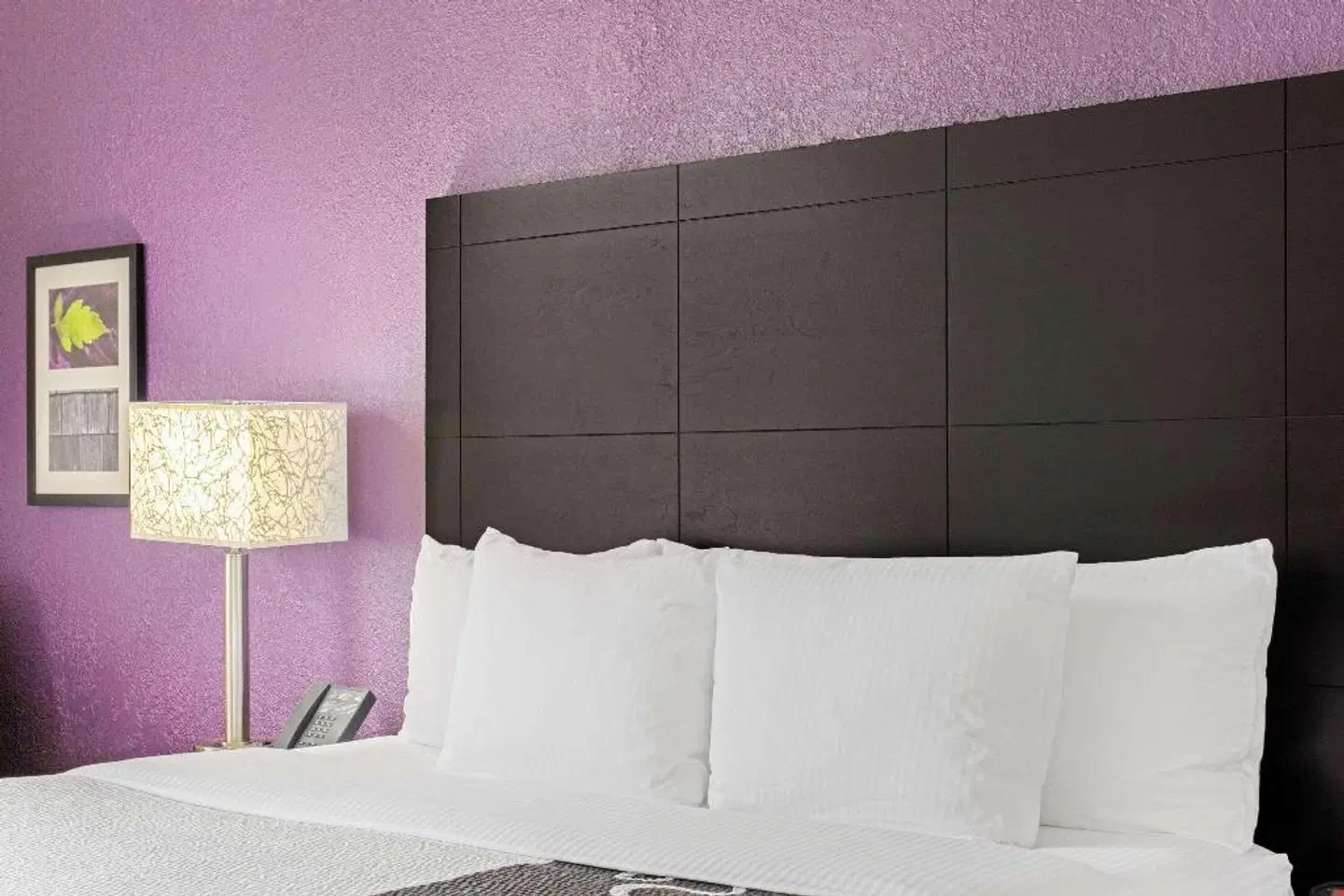 La Quinta Inn & Suites by Wyndham Miami Lakes ROOM_EXAMPLE