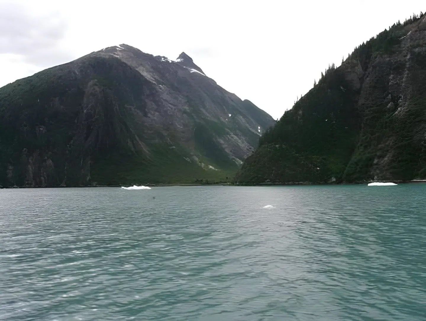 Four Points by Sheraton Juneau LANDSCAPE