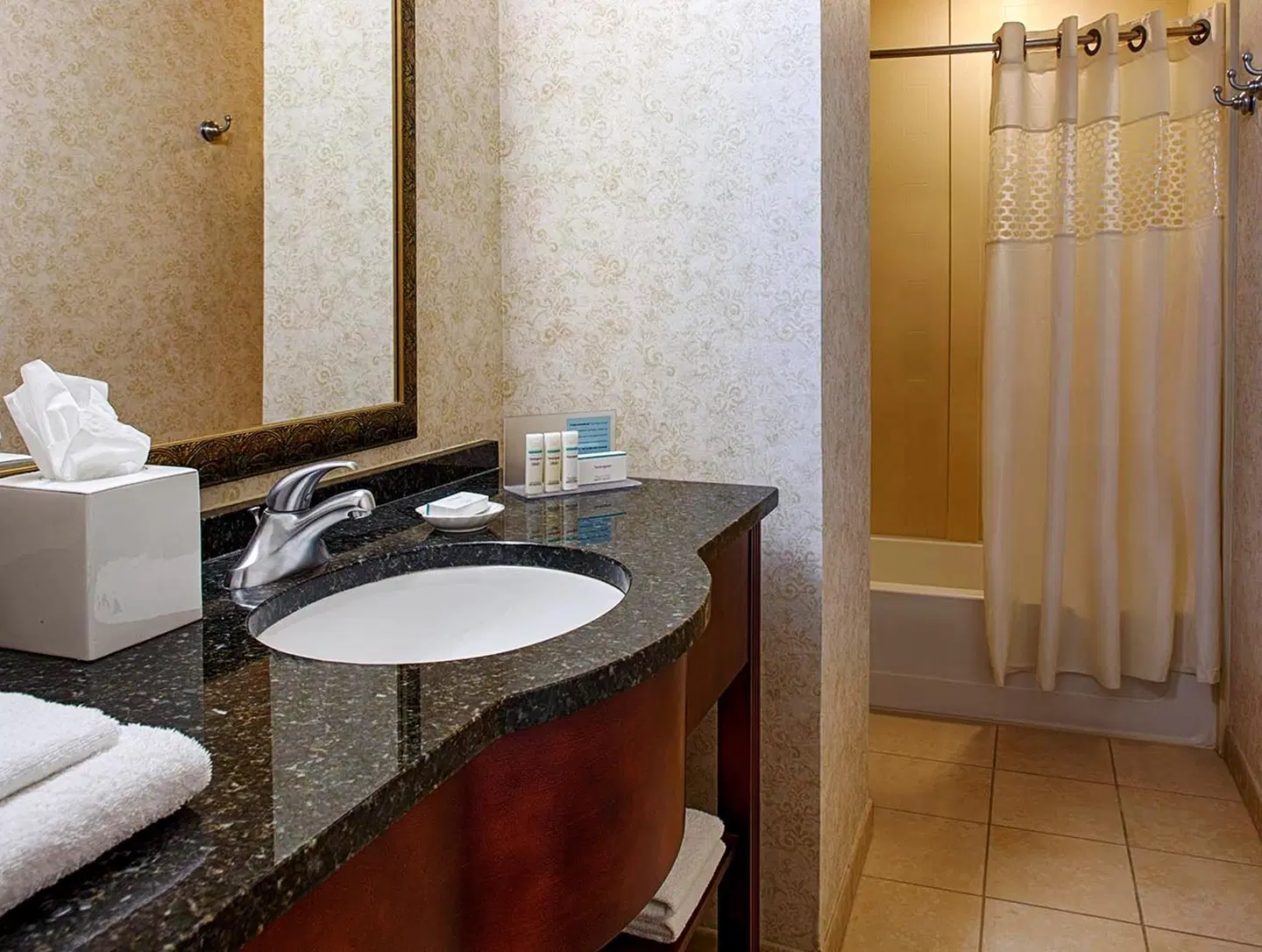 Hampton Inn & Suites Birmingham-Downtown-Tutwiler Badezimmer