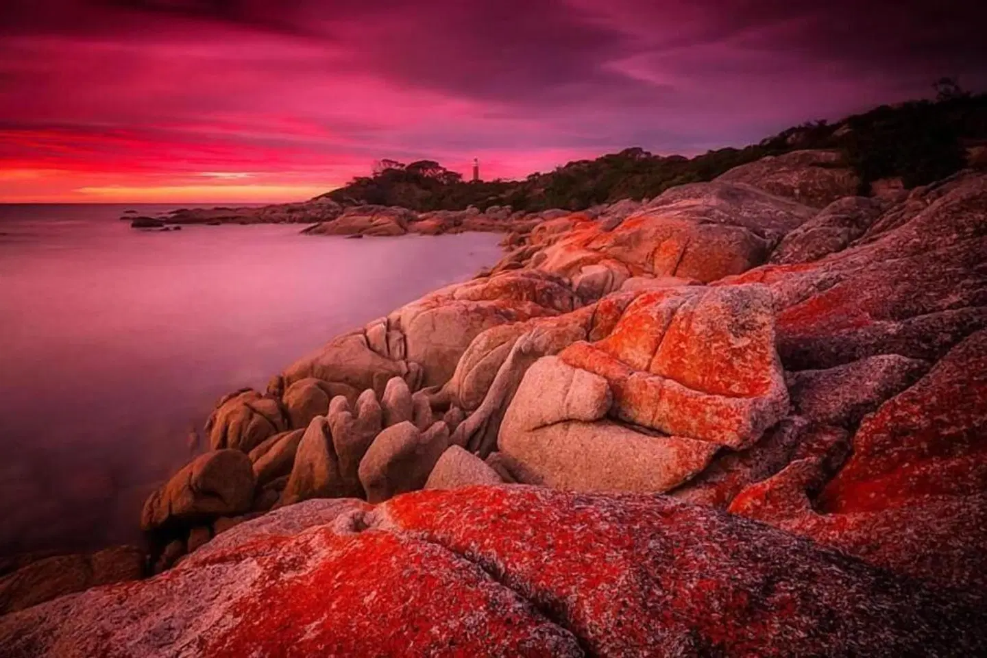 Georges Bay Apartments LANDSCAPE