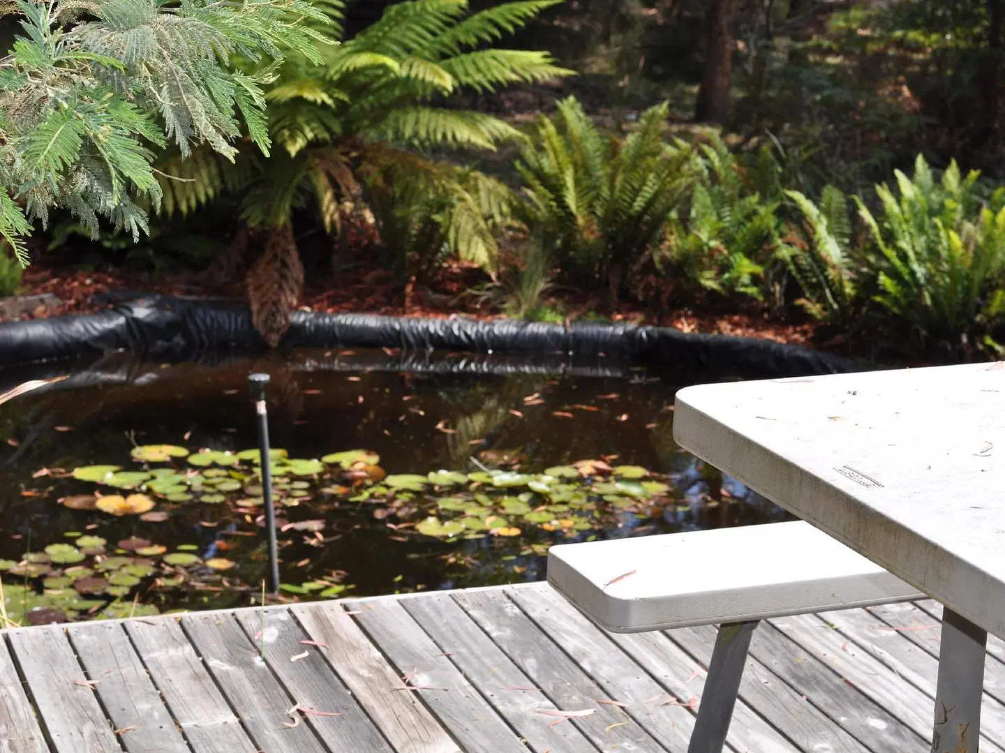Oyster Cove Chalet Terrasse