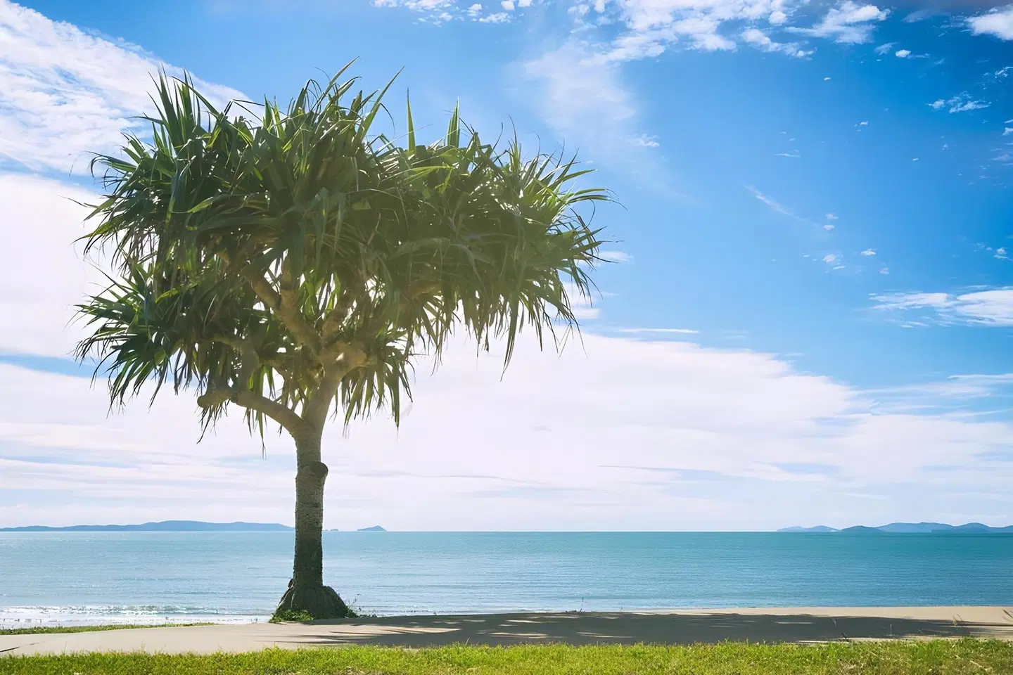 Echelon Apartments Yeppoon LANDSCAPE