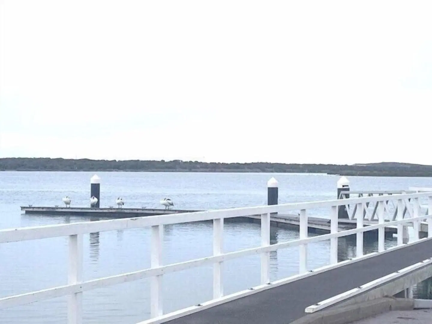 Riverside Ocean Grove OUTDOOR_POOL