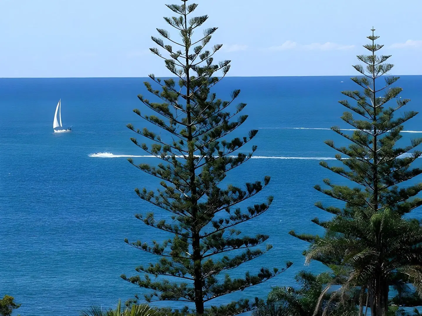 Raffles Mooloolaba LANDSCAPE