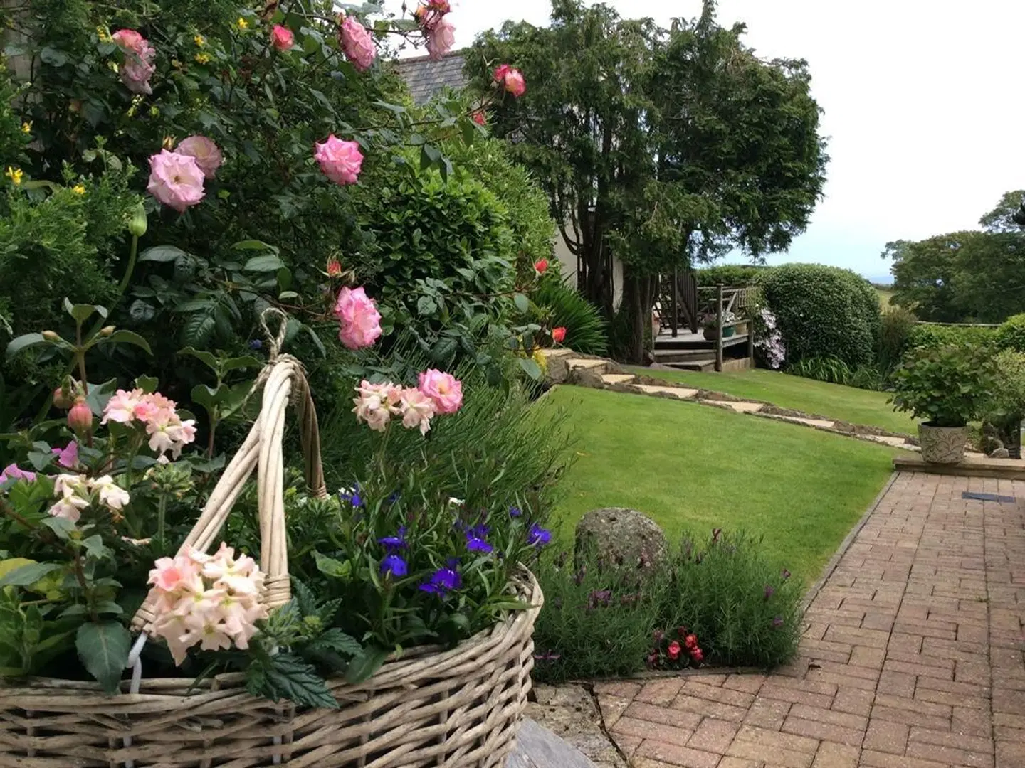 Frogwell B&B Garten