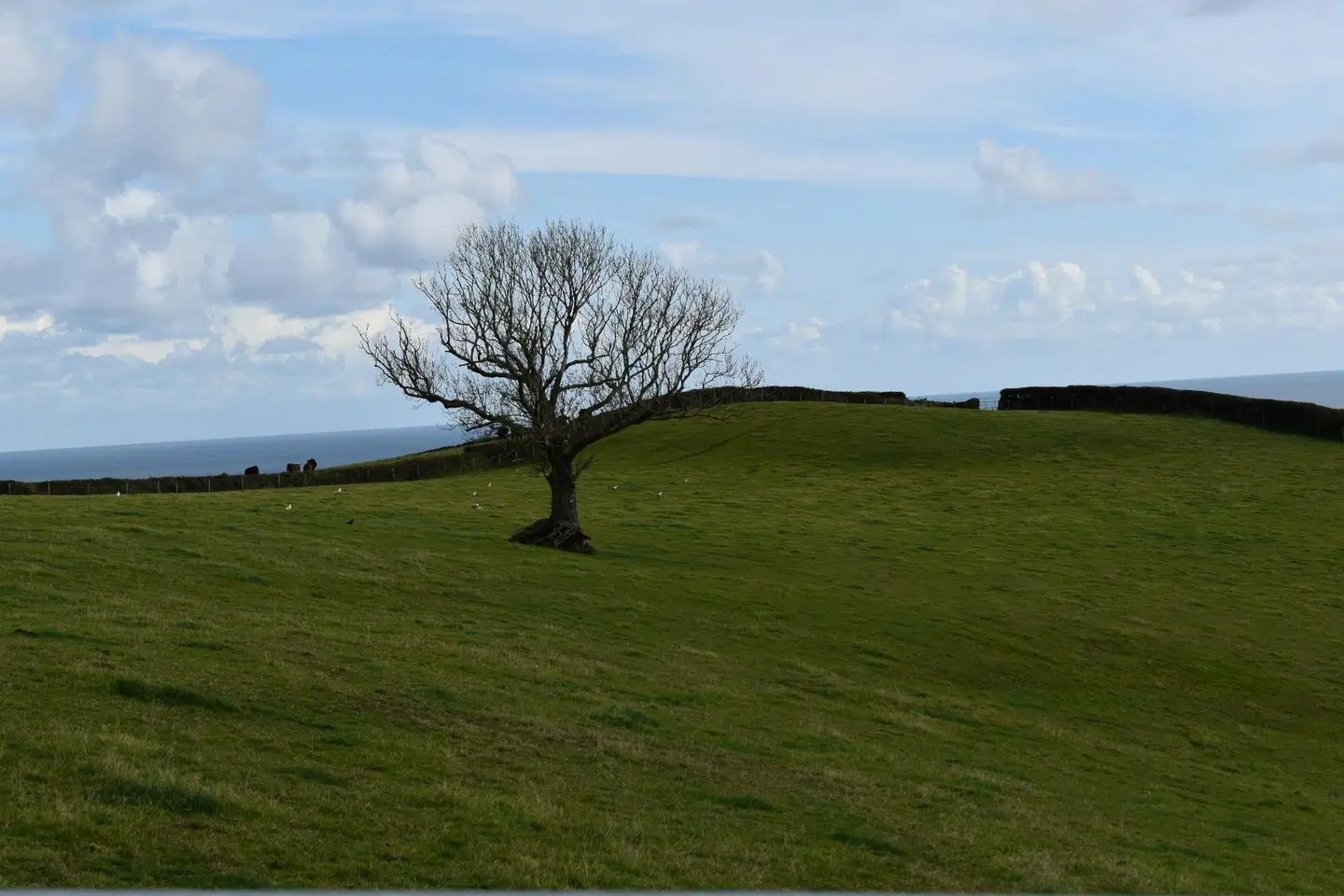 Frogwell B&B LANDSCAPE