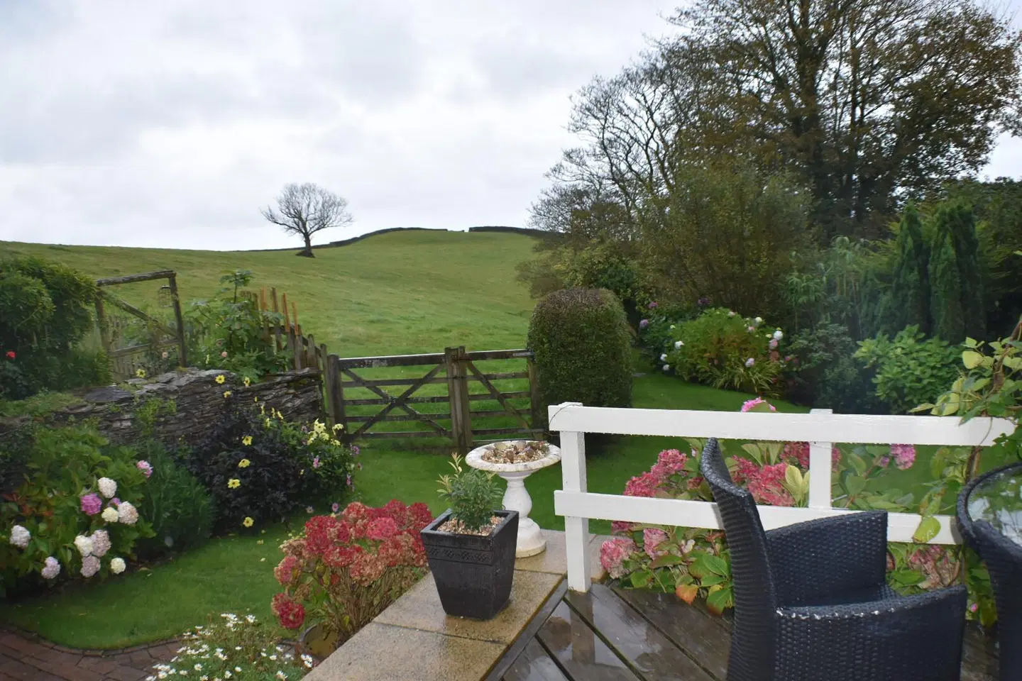 Frogwell B&B Terrasse