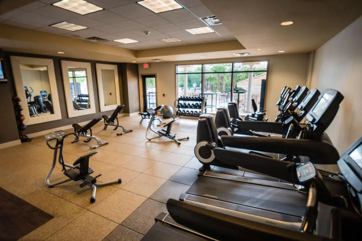 Hilton St. Petersburg Carillon Park SPORTS_AND_LEISURE