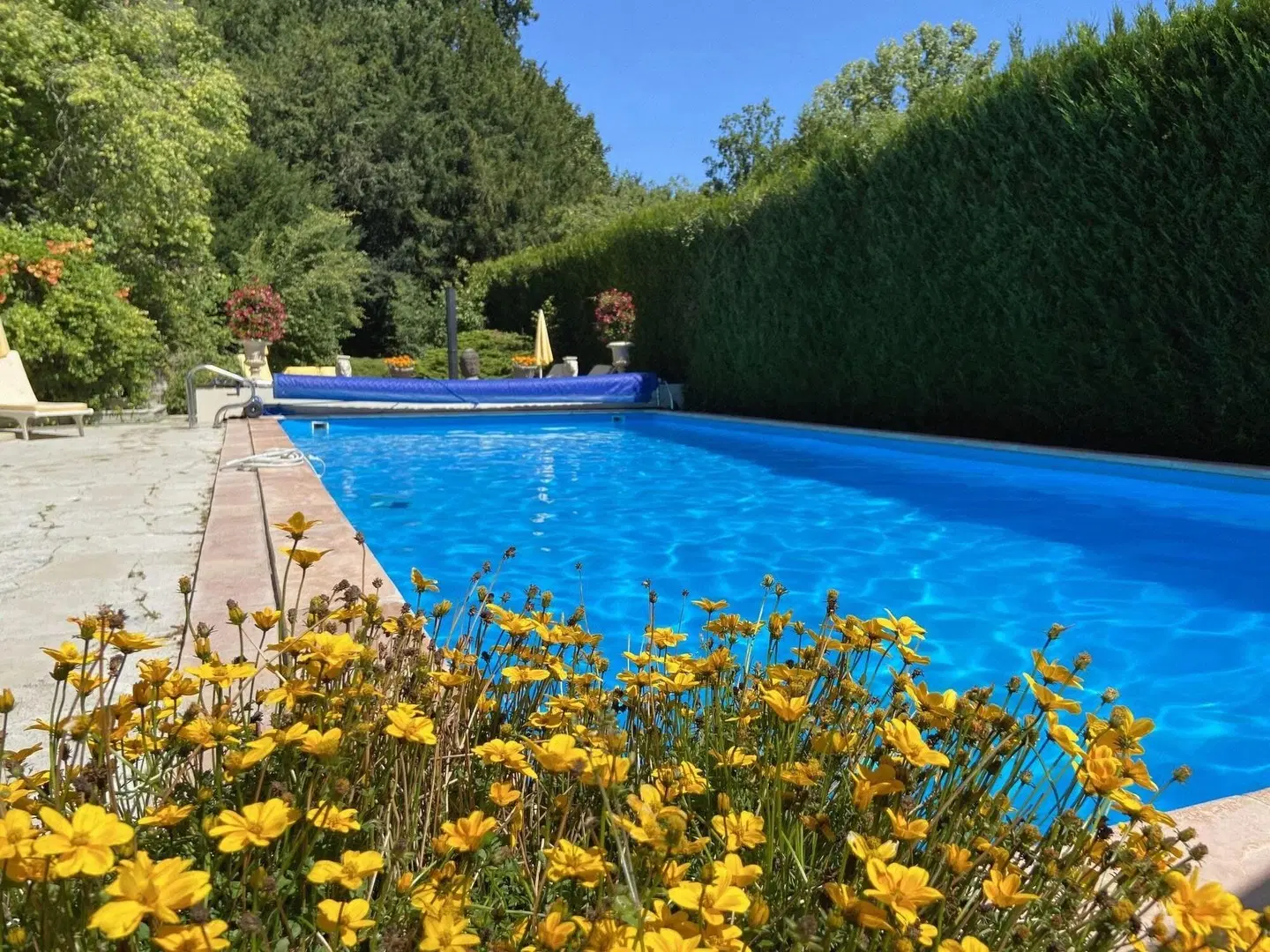 Manoir des Cavaliers - BnB OUTDOOR_POOL