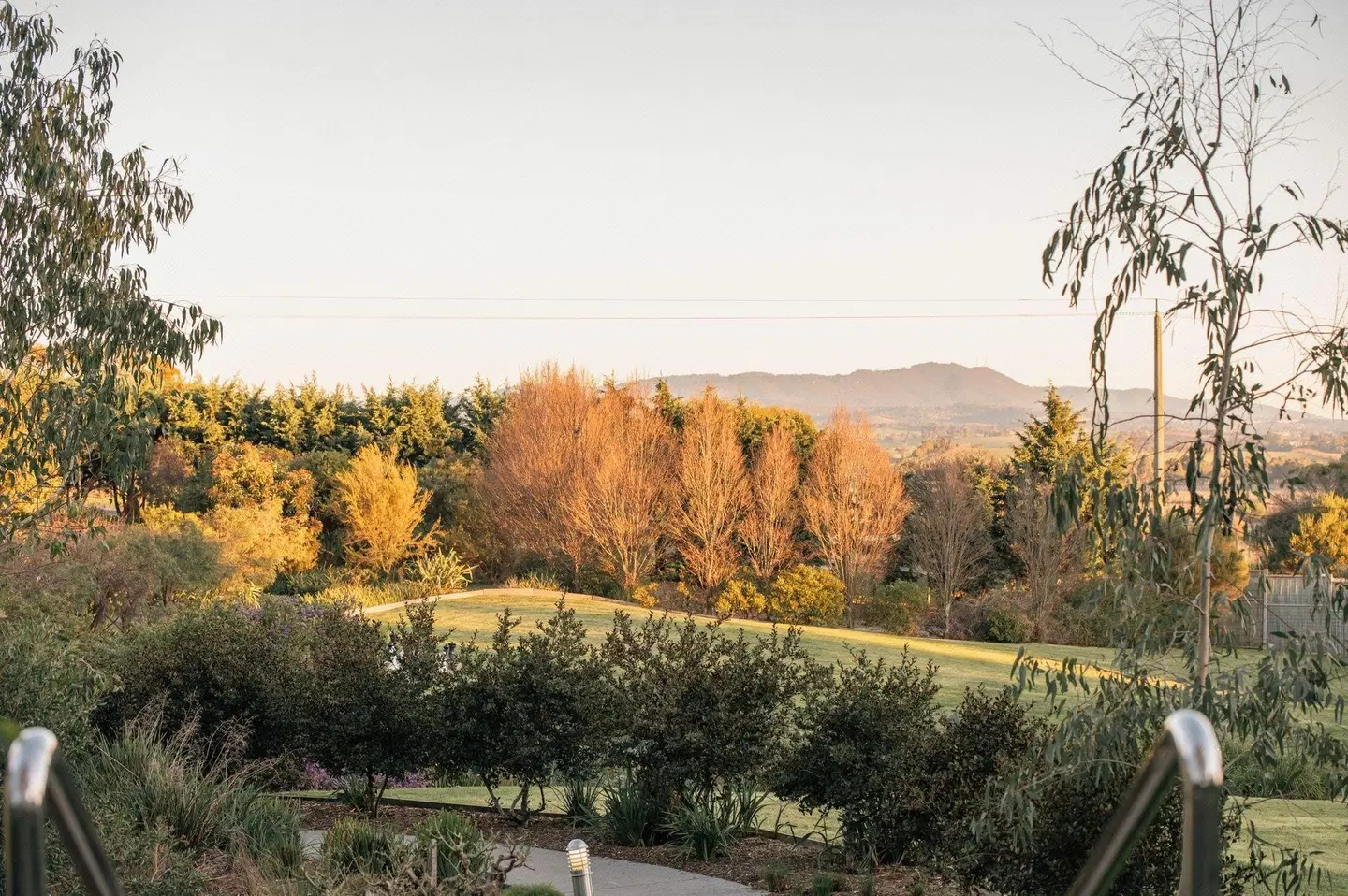 Balgownie Estate Yarra Valley LANDSCAPE