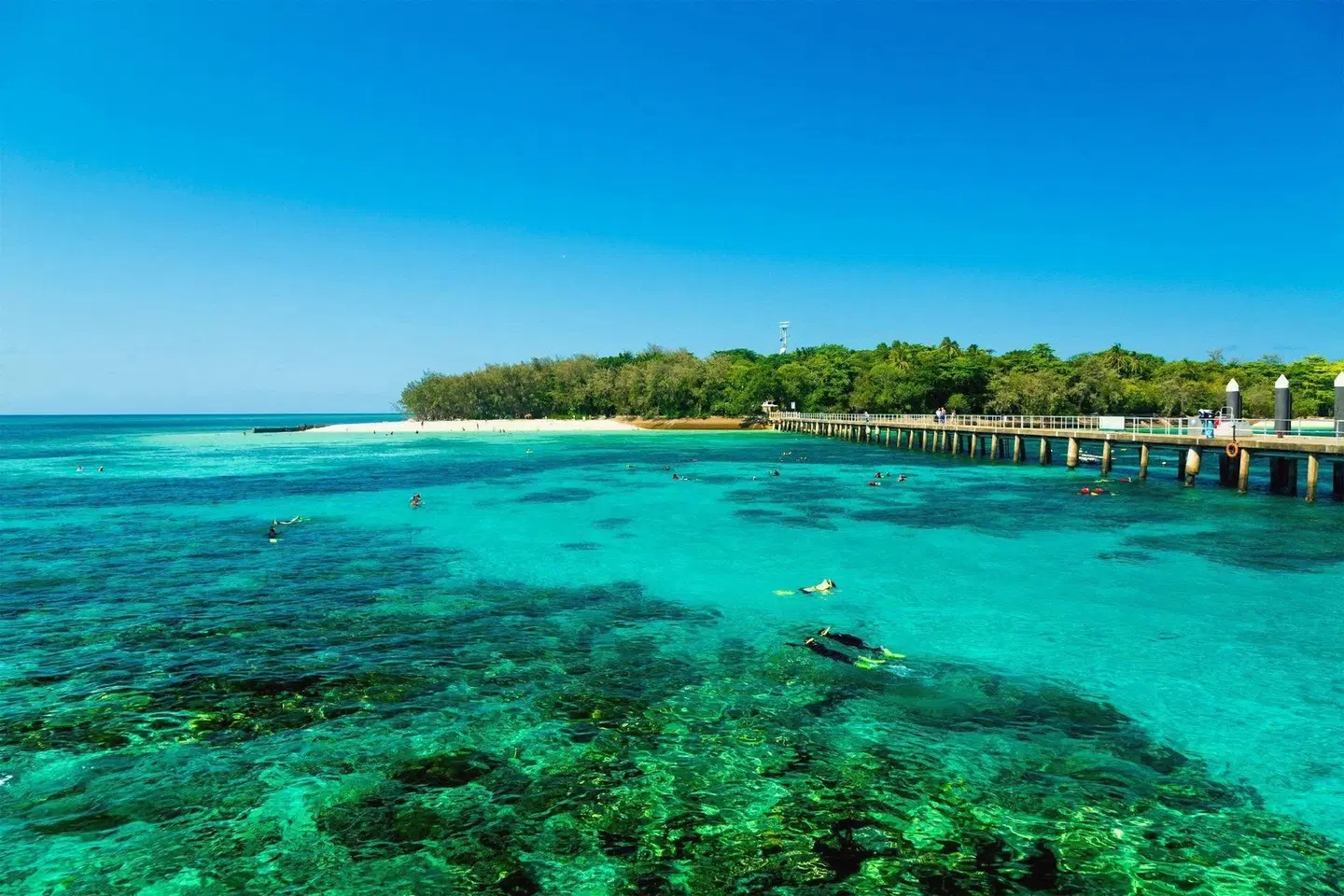 Reef Gateway Apartments LANDSCAPE