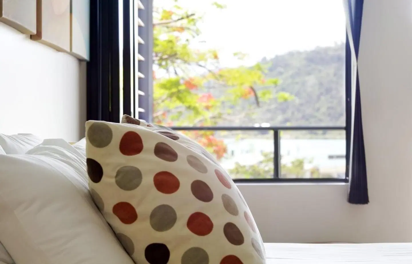 at Waterfront Whitsunday Retreat Konferenz