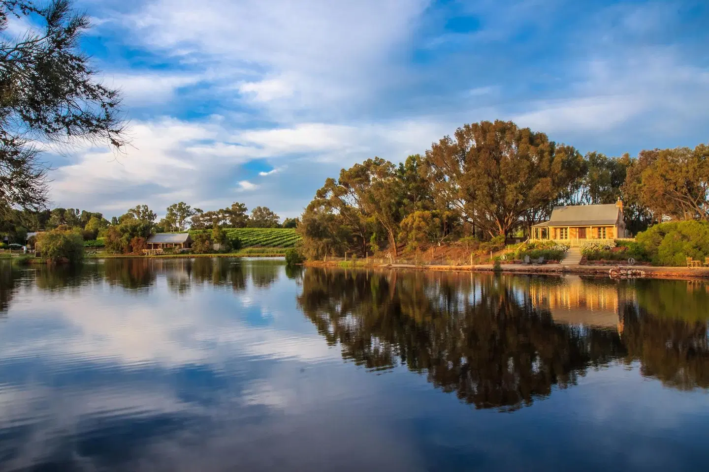 Stonewell Cottages and Vineyards LANDSCAPE