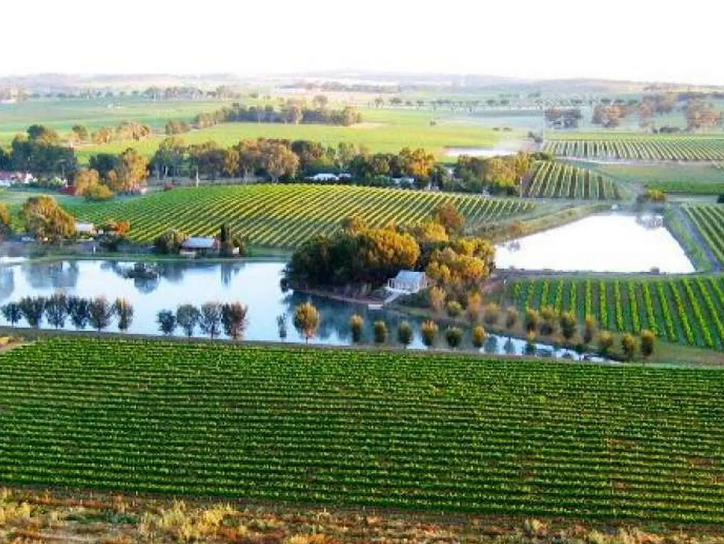 Stonewell Cottages and Vineyards LANDSCAPE