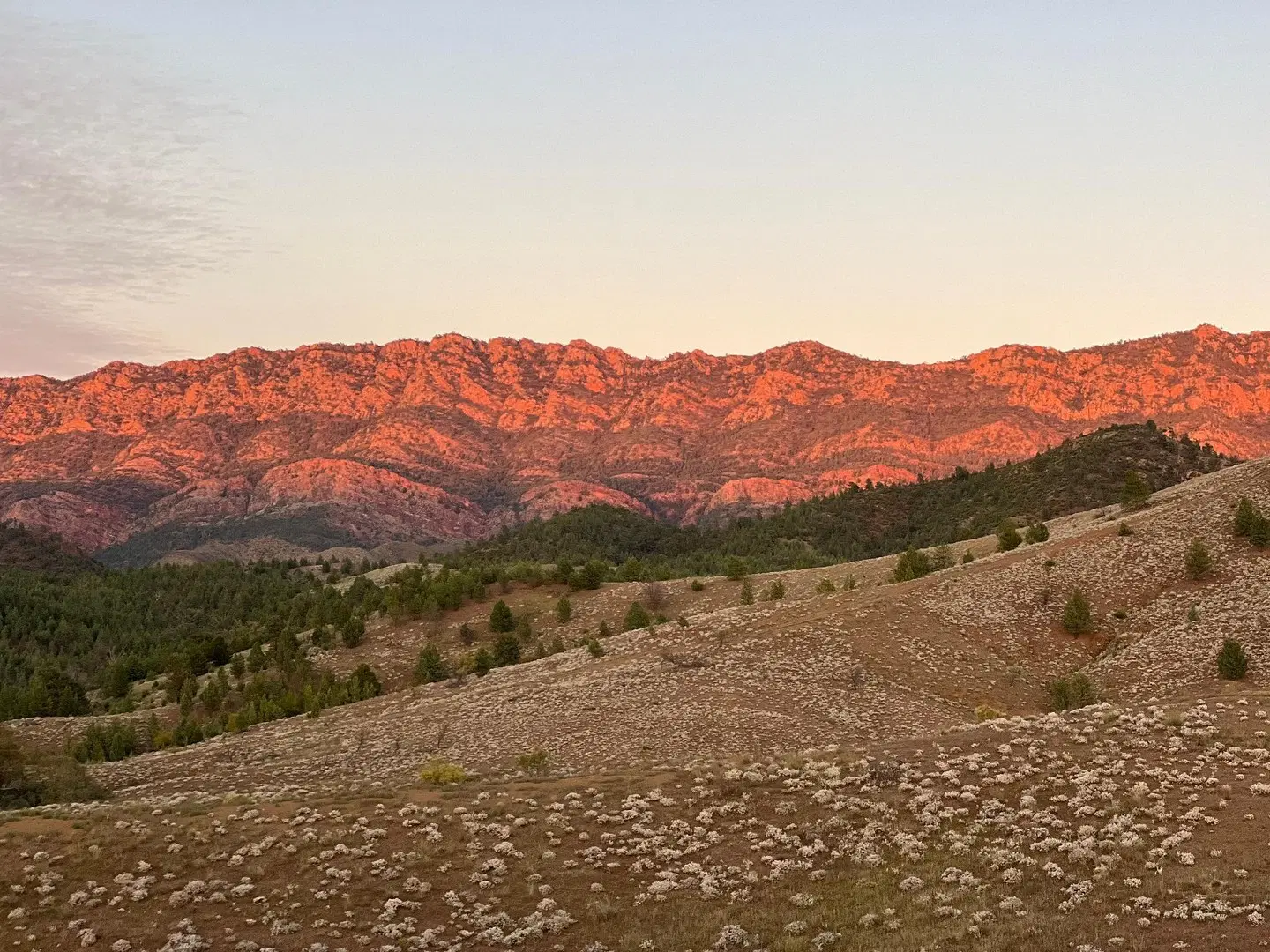 Arkaba Homestead LANDSCAPE