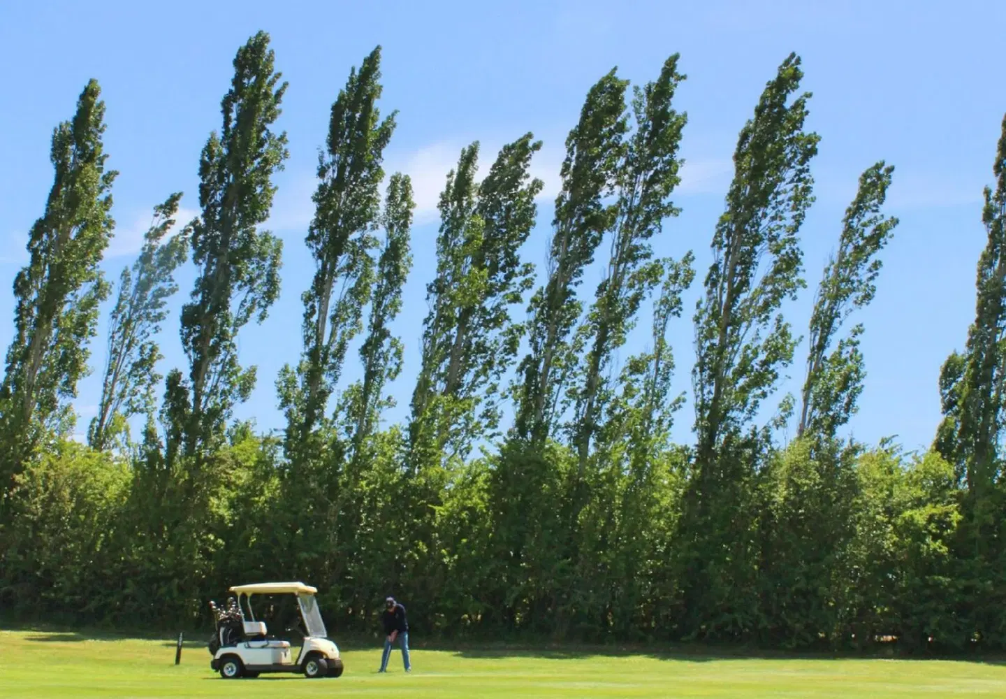 Quamby Estate LANDSCAPE