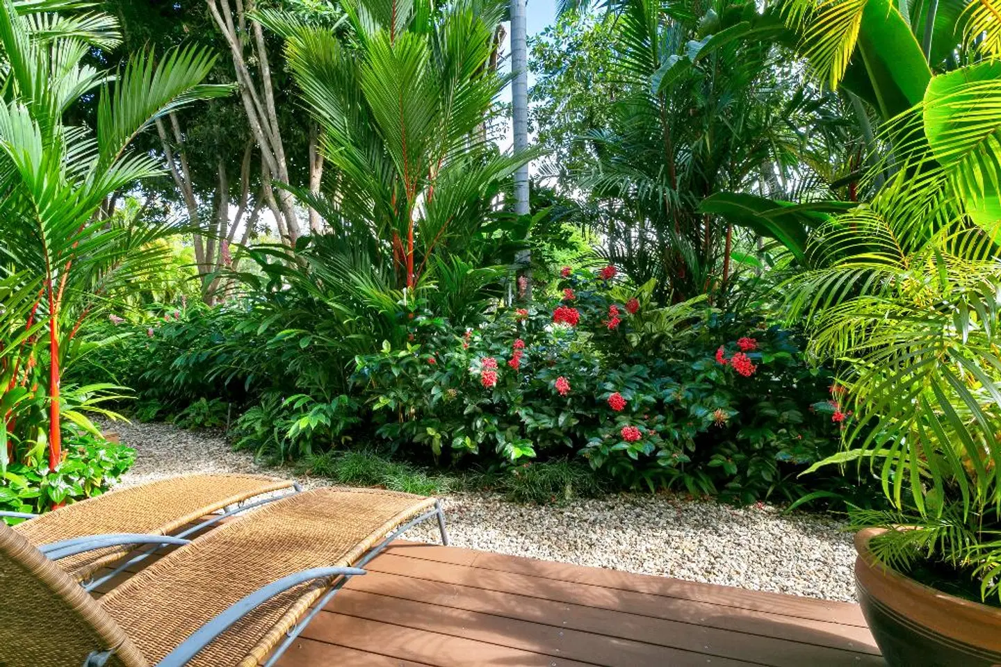 Port Douglas on Macrossan Garten