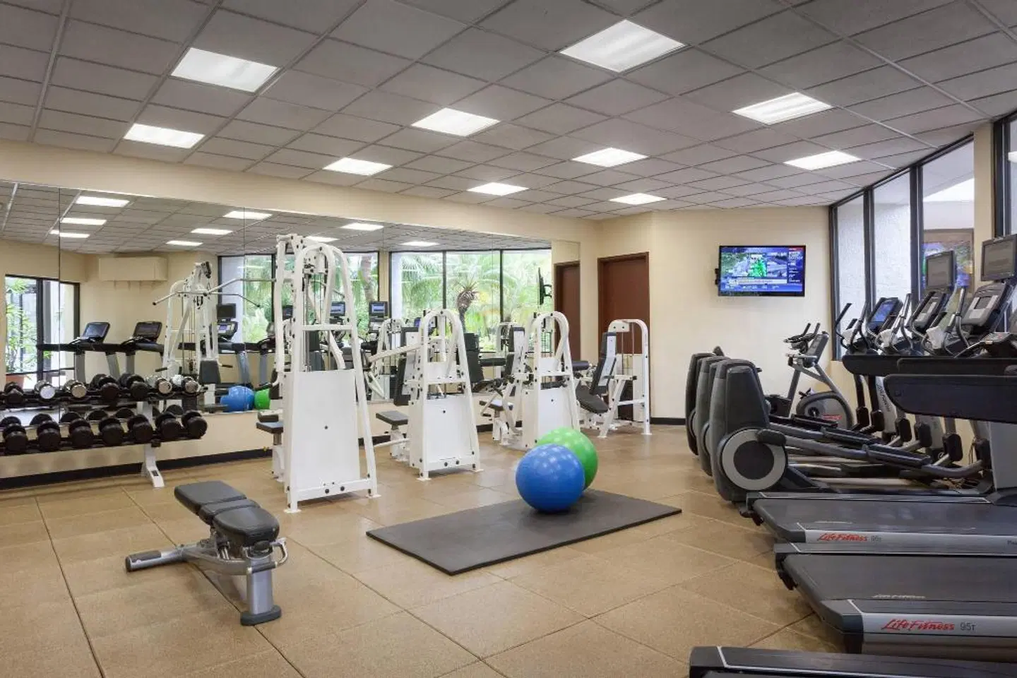 Marriott Tampa Westshore SPORTS_AND_LEISURE