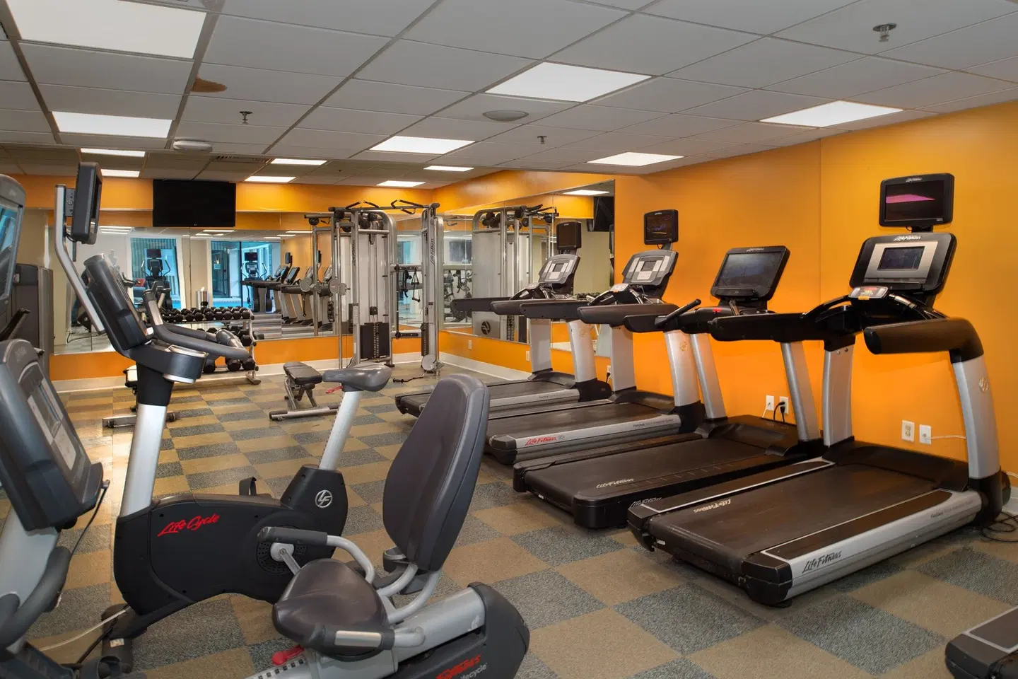 Marriott St. Louis Airport SPORTS_AND_LEISURE