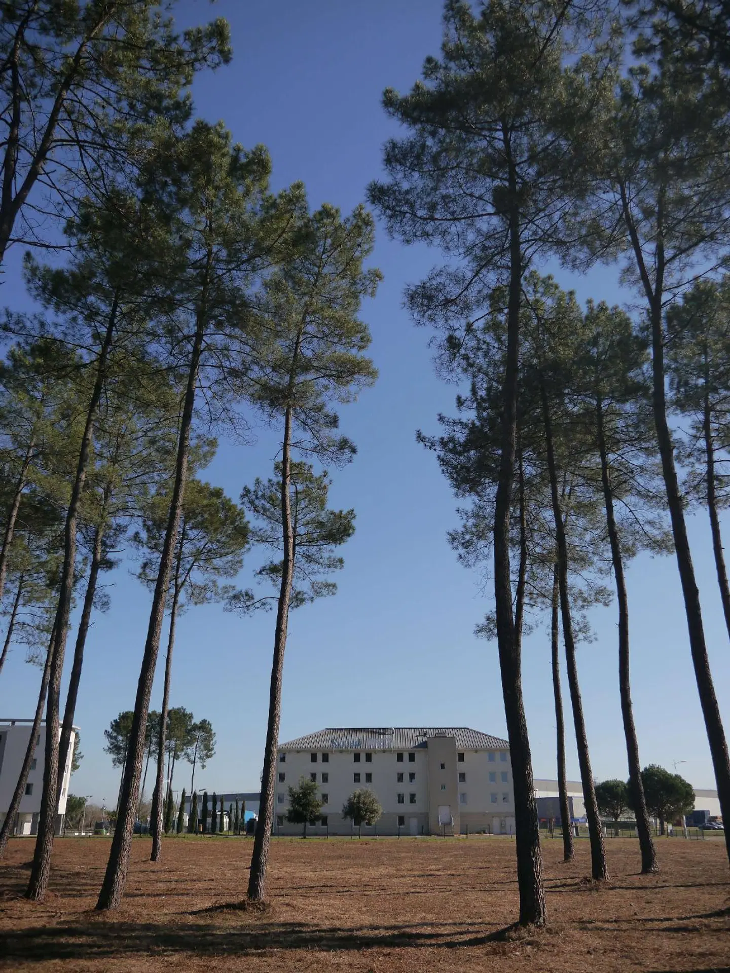 Hotel Premiere Classe Mont De Marsan LANDSCAPE