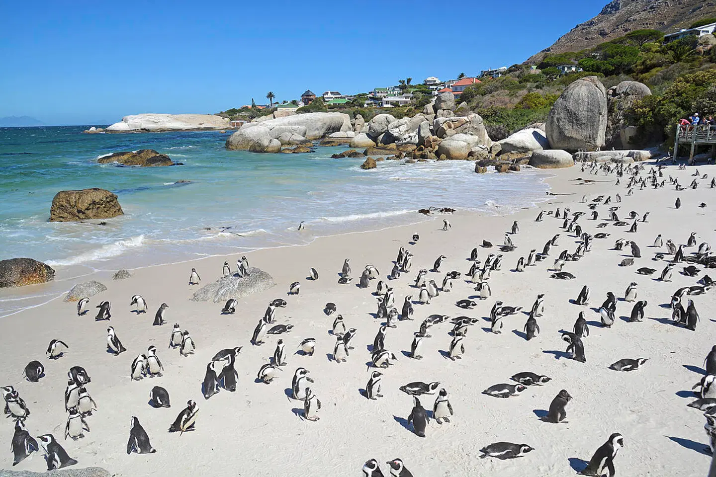 Go4South Africa - Erlebnisreise für die ganze Familie Strand