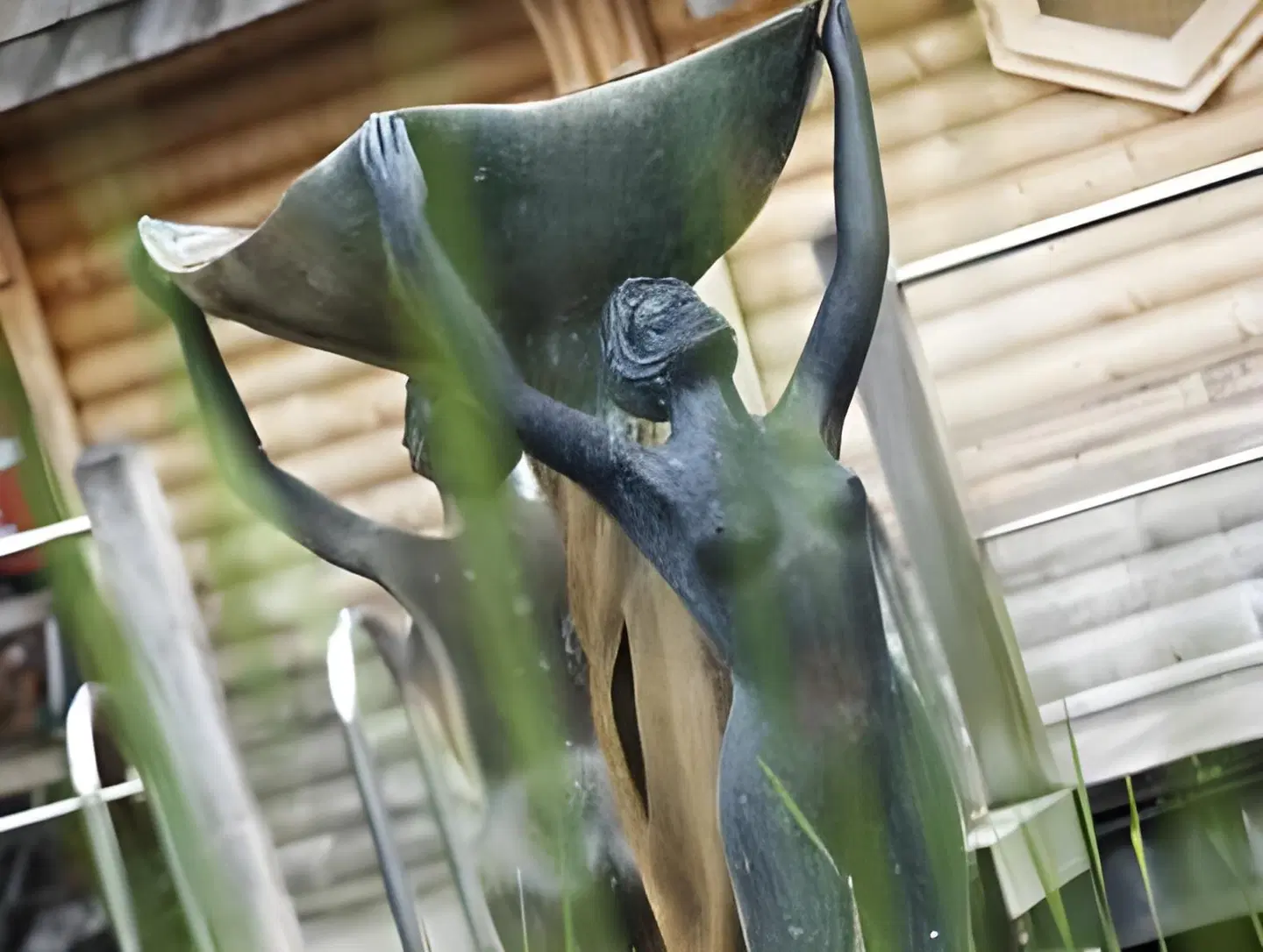 Thermen Dilbeek Tiere