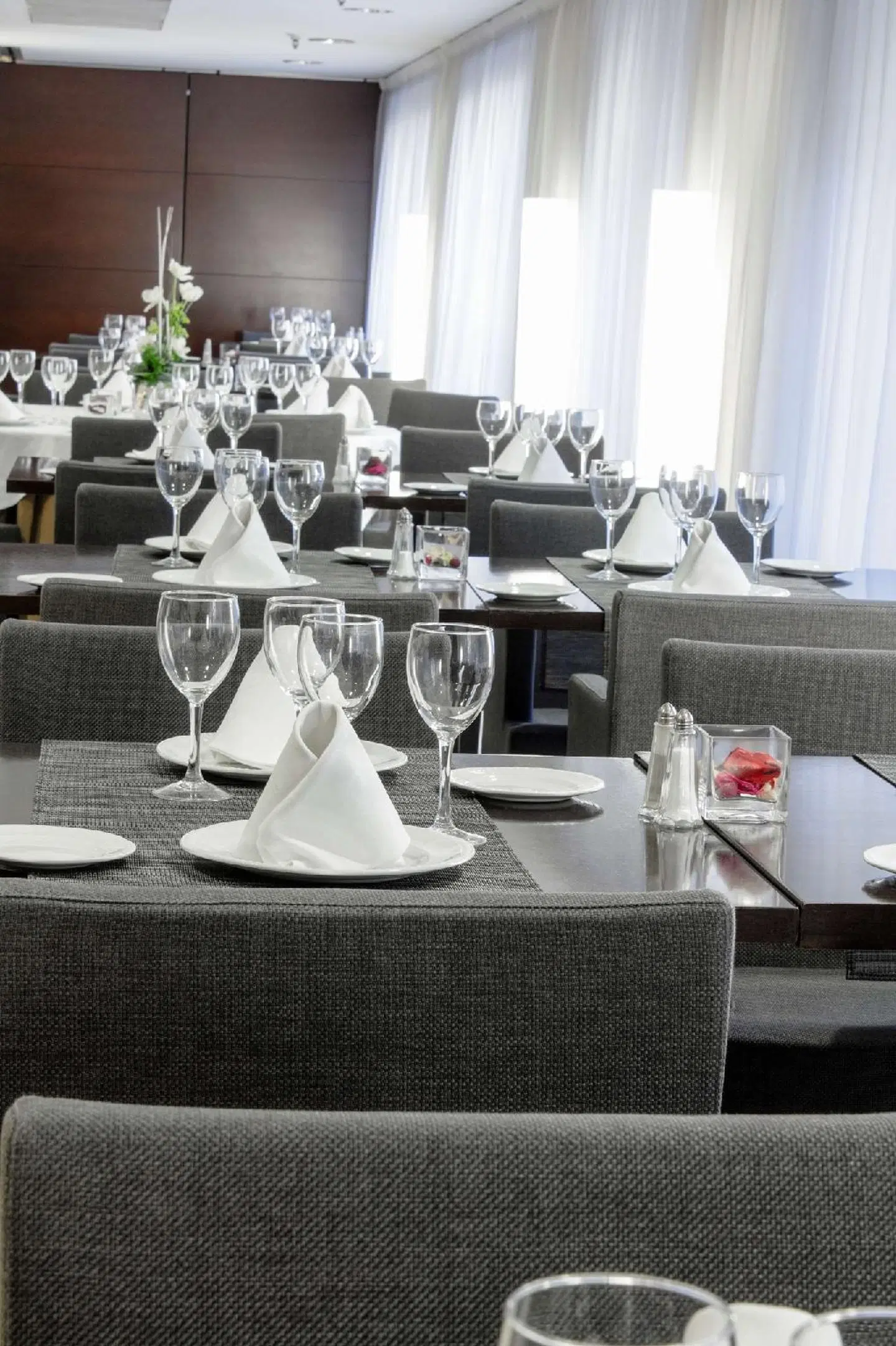 Zenit Don Yo Restaurant
