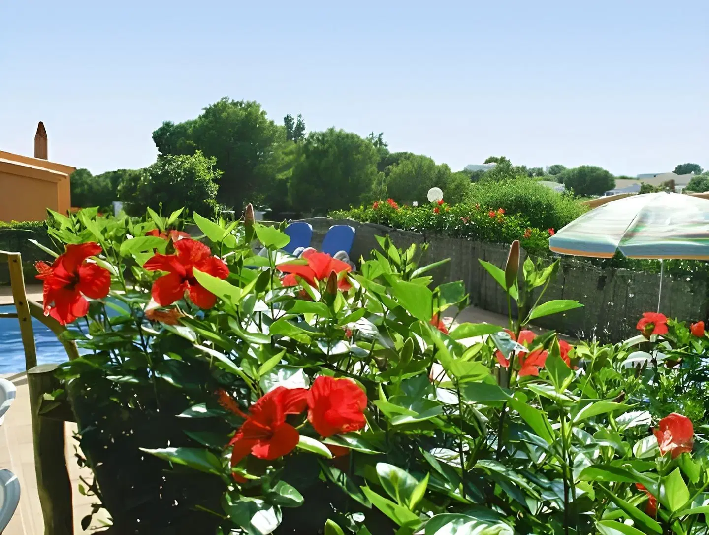 Villas Menorca Sur LANDSCAPE