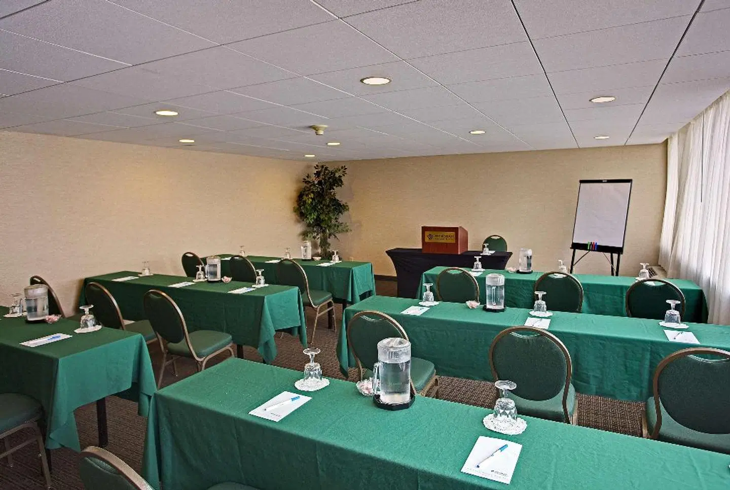 Wyndham Garden Philadelphia Airport Konferenz