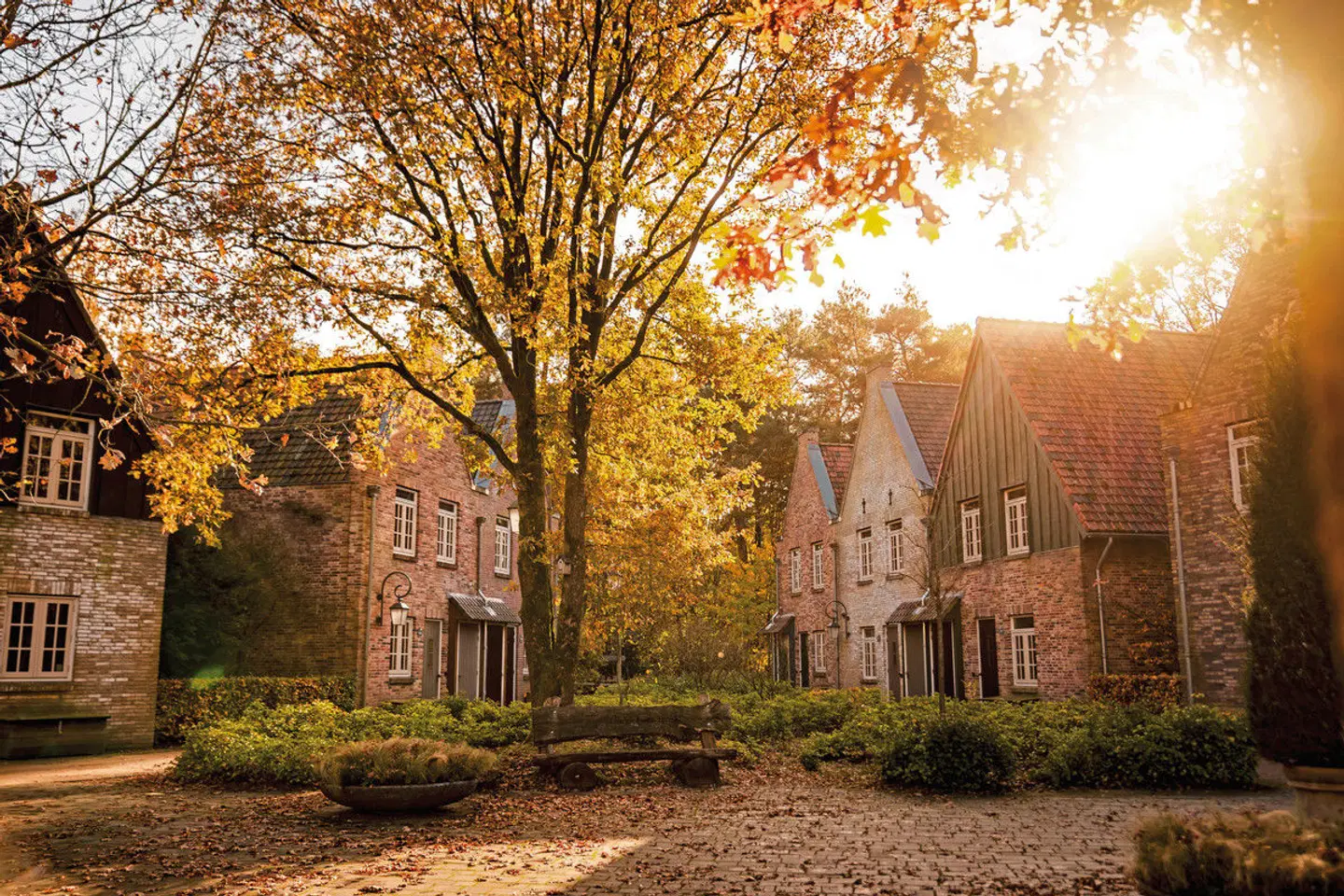 Efteling Bosrijk EXTERIOR