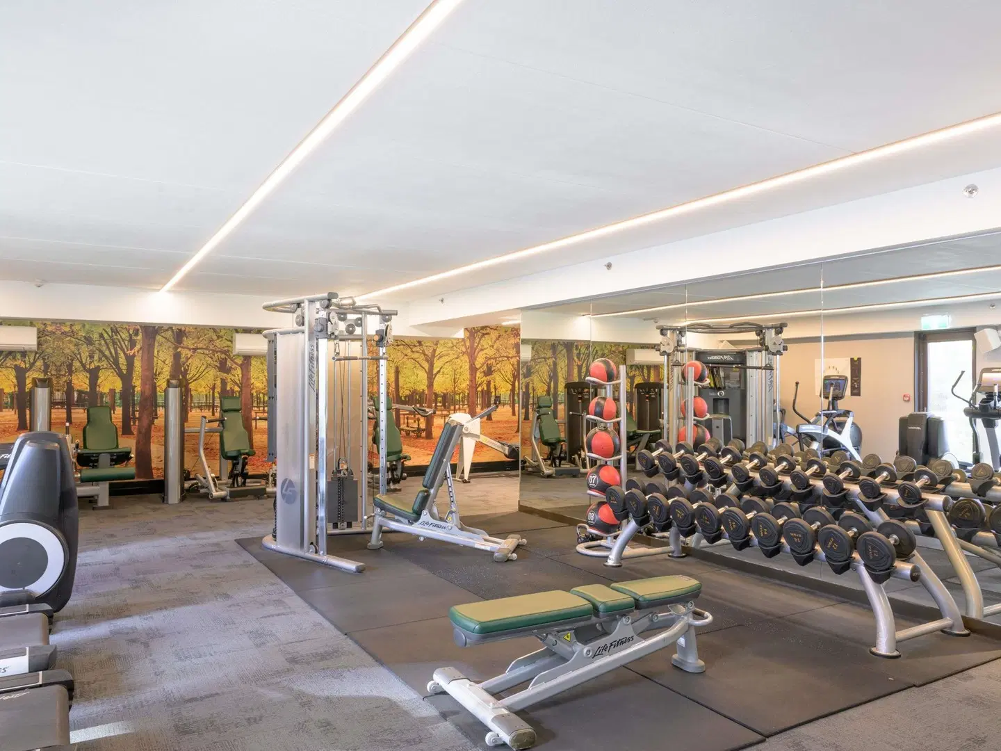 Sofitel Wellington Hotel SPORTS_AND_LEISURE