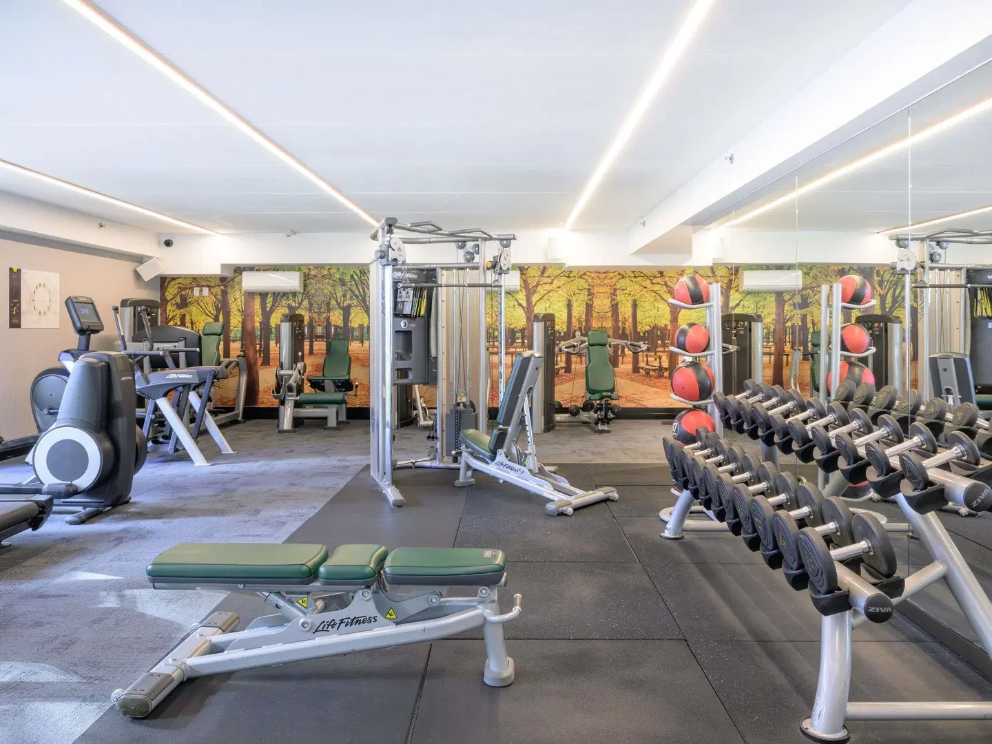 Sofitel Wellington Hotel SPORTS_AND_LEISURE